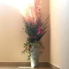 Отель Villa Alla Bed and Breakfast, фото 2