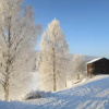 Отель Sörnäsgården Bed & Breakfast, фото 11