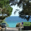 Отель Hôtel Cavalaire Les Eucalyptus, фото 5
