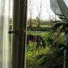 Отель White Lady Bed and Breakfast, фото 11