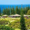 Отель Kapalua Golf Villa Gold Panoramic View 23V3, фото 15