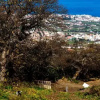 Отель Villa de Montaña Ilusión, фото 15