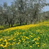 Отель Agriturismo 