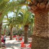 Отель Camping Resort La Baume La Palmeraie, фото 10