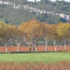 Отель Gite de rêve Riverside Lagrasse, фото 4