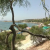 Отель Tonia Beach House, фото 10