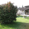 Отель Rusalls Cottage, фото 4