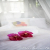 Отель Baanlandao Resort Chiang Mai, фото 3