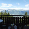 Отель Mayen de l'Ours MOUNTAIN & CENTER apartments, фото 9