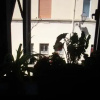 Отель Sant' Erasmo's Flat, фото 4