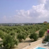 Отель Villa Nelia, фото 10