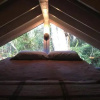 Отель Carson's Kaloko Mountain Cottage, фото 7