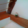 Отель APPARTEMENT VUE MER St MALO CUISINE ENTIEREMENT EQUIPEE 6 PERSONNES, фото 8