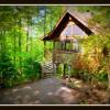 Отель Priscilla Heights Lane Cabin 3301 - 1 Br cabin by RedAwning, фото 9