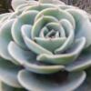 Отель Cafayate Backpakers, фото 20