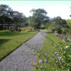 Отель Boquete River Inn, фото 7