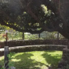 Отель B&B Il Giardino Dacri, фото 10