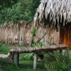 Отель Camenra Resort, фото 8