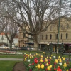 Отель Cobb and Co Stables, фото 1