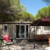 Отель Camping Resort La Baume La Palmeraie, фото 11