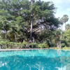 Отель PeaceTree Private Villas, фото 11