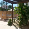Отель Orange Grove, фото 10
