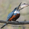 Отель The Old Viking Fly Fishing- Alojamiento, фото 6