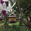 Отель Koh Mook Coco Lodge, фото 6