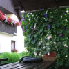 Отель Apartment Andolsek, фото 11