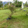 Отель Shiang Ching Home Stay, фото 13