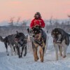 Отель Husky Lodge, фото 12