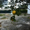 Отель Villa Mare Torre Chianca, фото 2