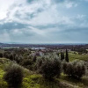Отель Villa Fontanelle Gardapartments, фото 14