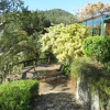 Отель Flat da Rose - Quinta do Lago Itaipava, фото 8
