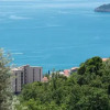 Отель Villa Old Olive II, фото 6