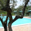 Отель Serristori Country - Poggio Al Frantoio, фото 6