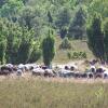 Отель Landgasthof Konik, фото 7