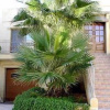 Отель Villa Dar Ta'Jeffrey, фото 5