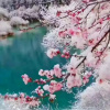 Отель Jiuzhaigou Zhaozilong New Inn, фото 9