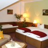 Отель Und Restaurant Haus Irmer, фото 4