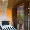 Отель Nijlpaard En Giraf, фото 1