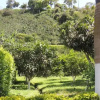 Отель Casa Hostal El Tigre, фото 3