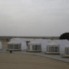 Отель Camel Safari Dunes Camp, фото 1