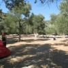 Отель Camping Paleochora, фото 6