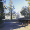 Отель Sherwood Forest Motel, фото 21