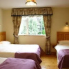 Отель Shanlin House Bed and Breakfast, фото 2