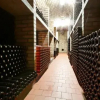 Отель Apartmány Turold Mikulov, фото 5