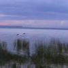 Отель Eagles Point Camp, Lake Elementaita, фото 1