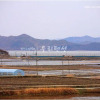 Отель Ganghwadosook Sook Pension, фото 10