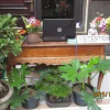 Отель Bali Semesta Hostel, фото 14